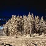 Am Skilift * Herrischried