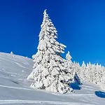 公寓 Am Skilift *