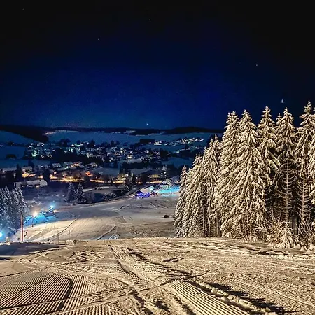Am Skilift Apartament Herrischried
