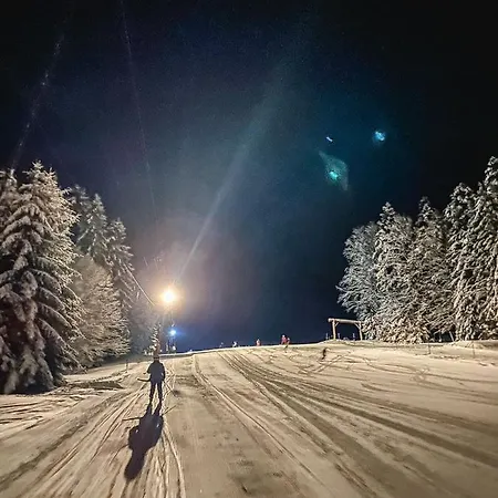 Apartment Am Skilift Herrischried