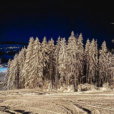 Am Skilift * Herrischried