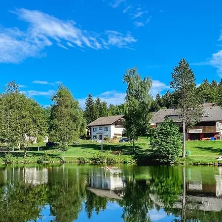 Am Skilift Lägenhet Herrischried
