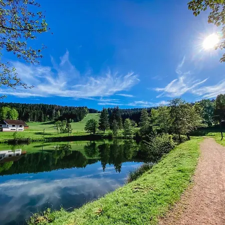 Am Skilift Διαμέρισμα *