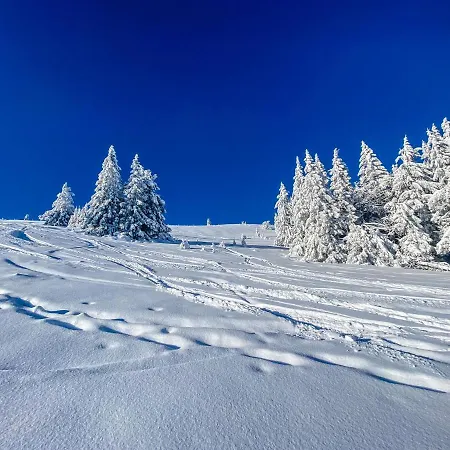 Am Skilift Lägenhet