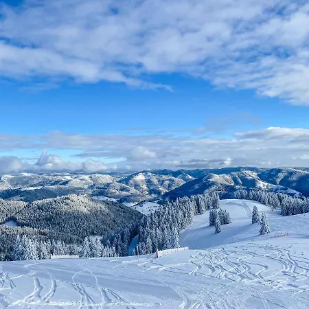 Διαμέρισμα Am Skilift