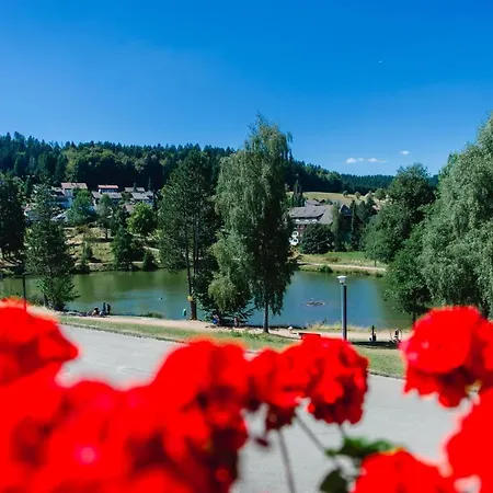 Apartment Am Skilift Herrischried