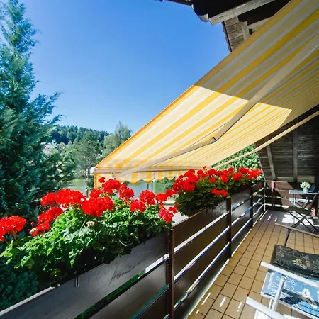 Am Skilift * Herrischried