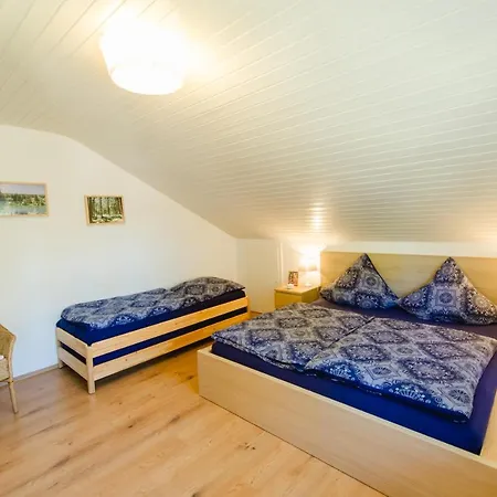 Am Skilift Apartment