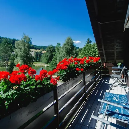 Διαμέρισμα Am Skilift Herrischried