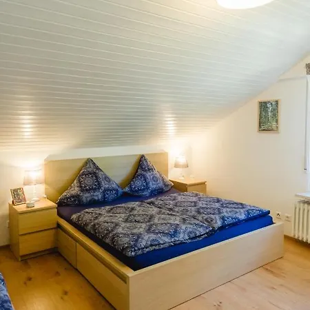 Am Skilift Apartment