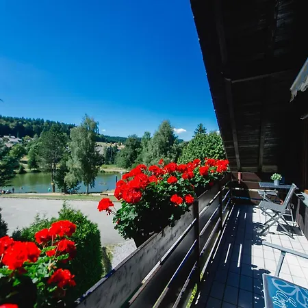 Am Skilift Apartment Herrischried