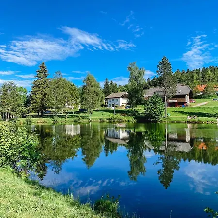 Am Skilift Apartment Herrischried