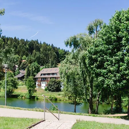 Am Skilift Apartment Herrischried