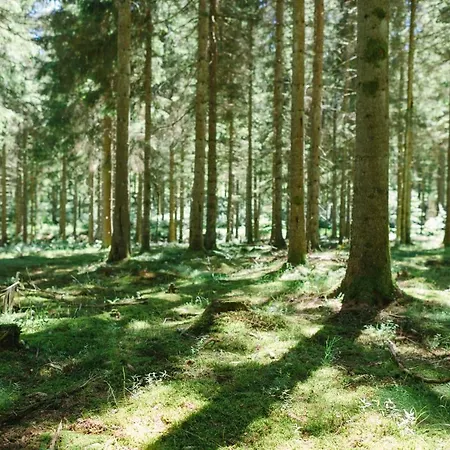 Am Skilift Διαμέρισμα *