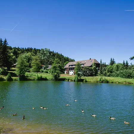 公寓 Am Skilift Herrischried