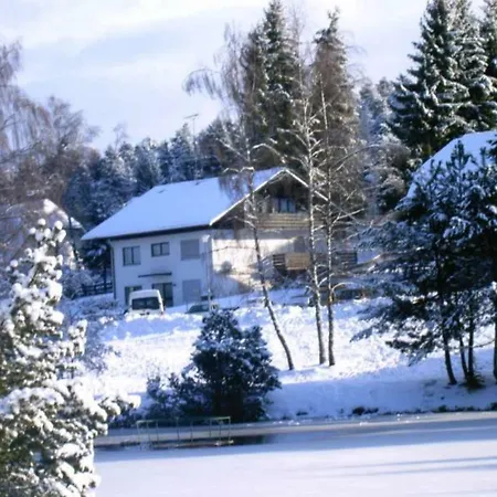 Am Skilift Apartment