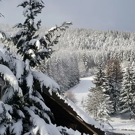 Διαμέρισμα Am Skilift Herrischried