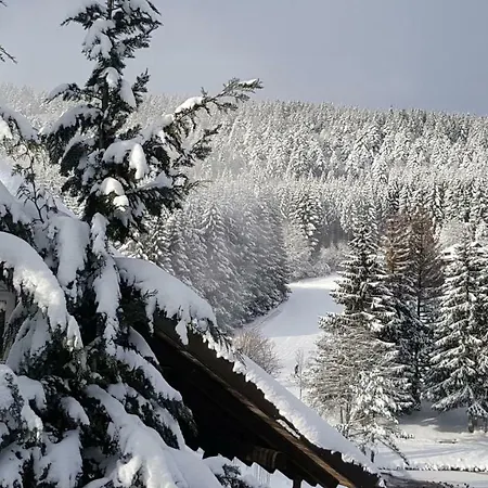 Apartment Am Skilift Herrischried