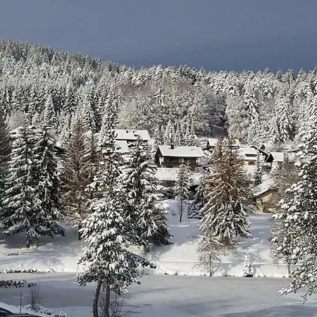 Am Skilift Apartment *