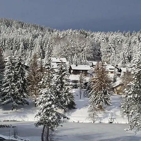 Am Skilift Apartament *